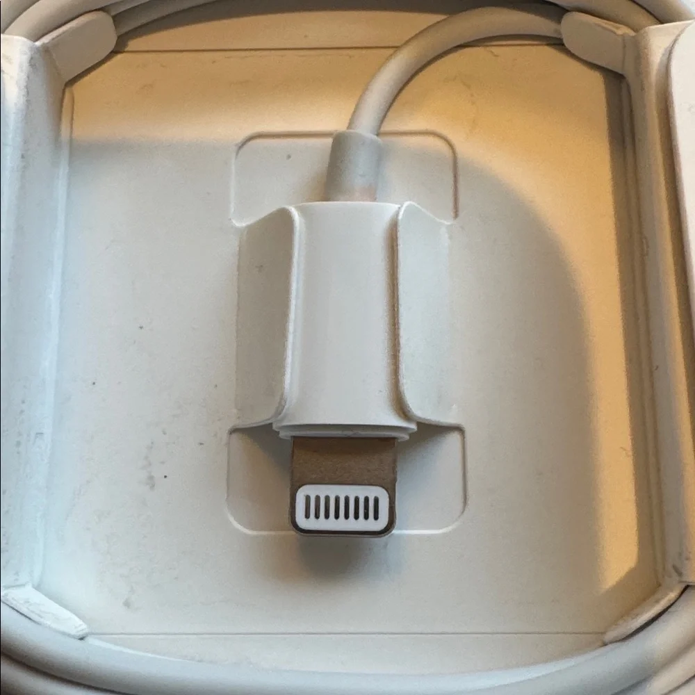 Apple Ear Buds with Lightening Connector